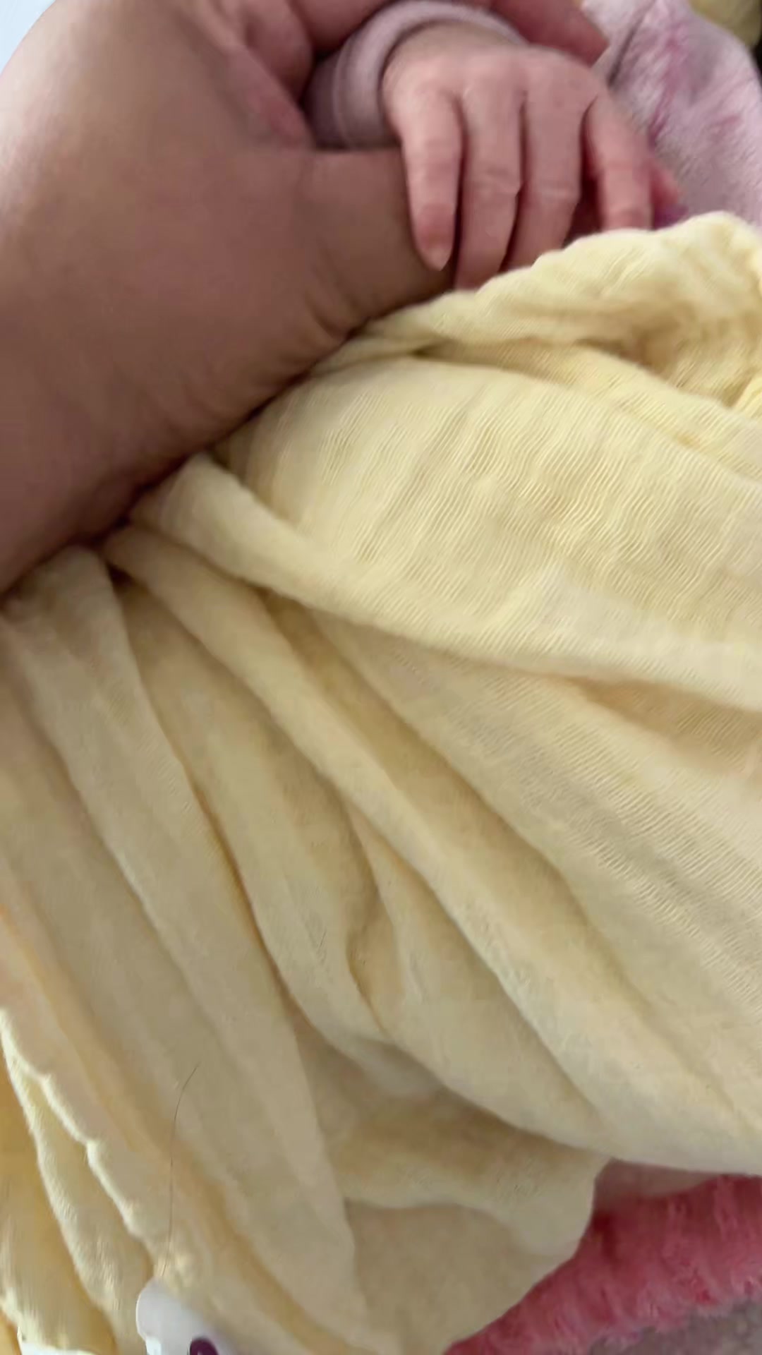 @Melissa Galindo Alva