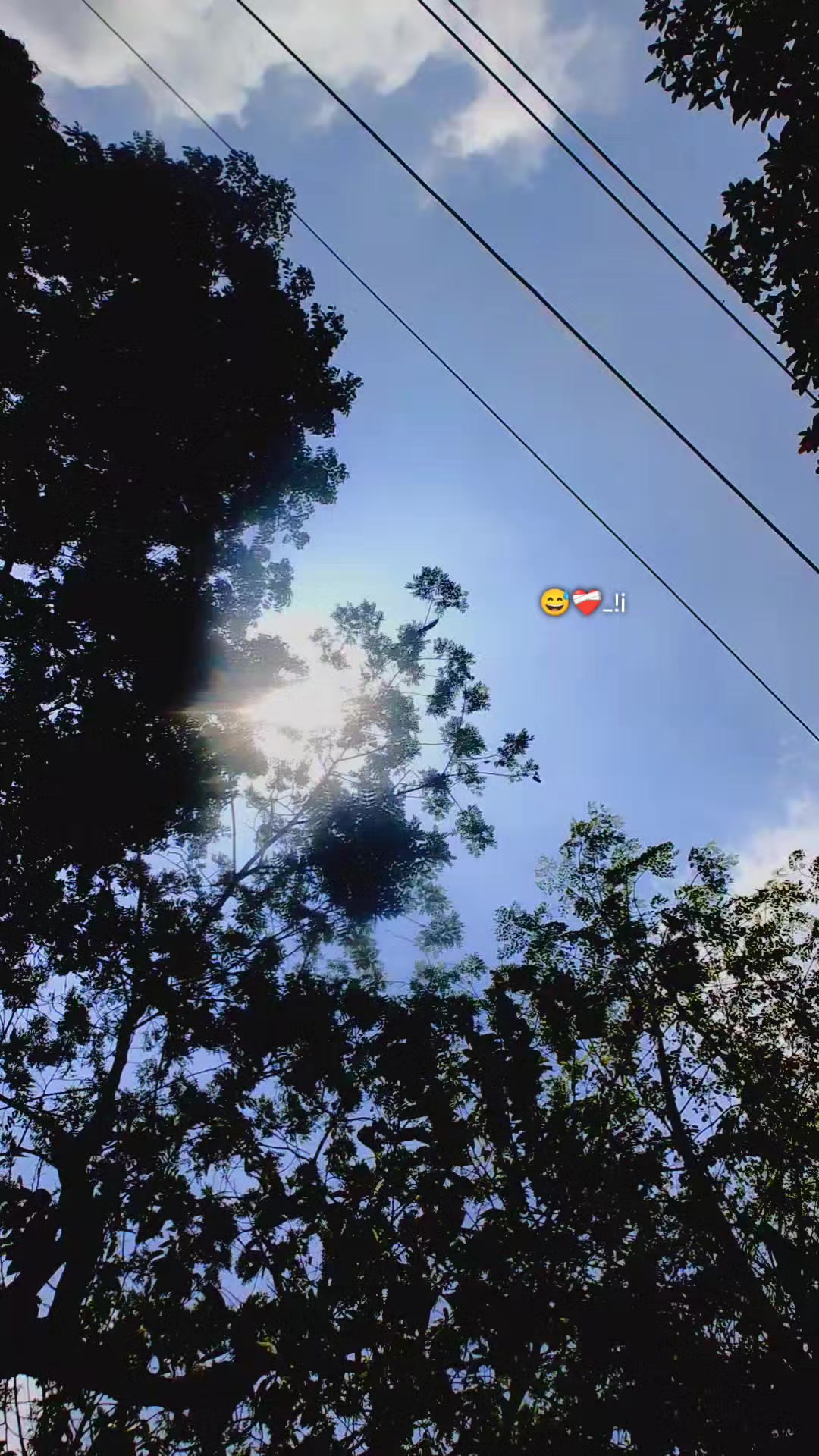 @᙭ᴀꜰɪᑎ 🐊