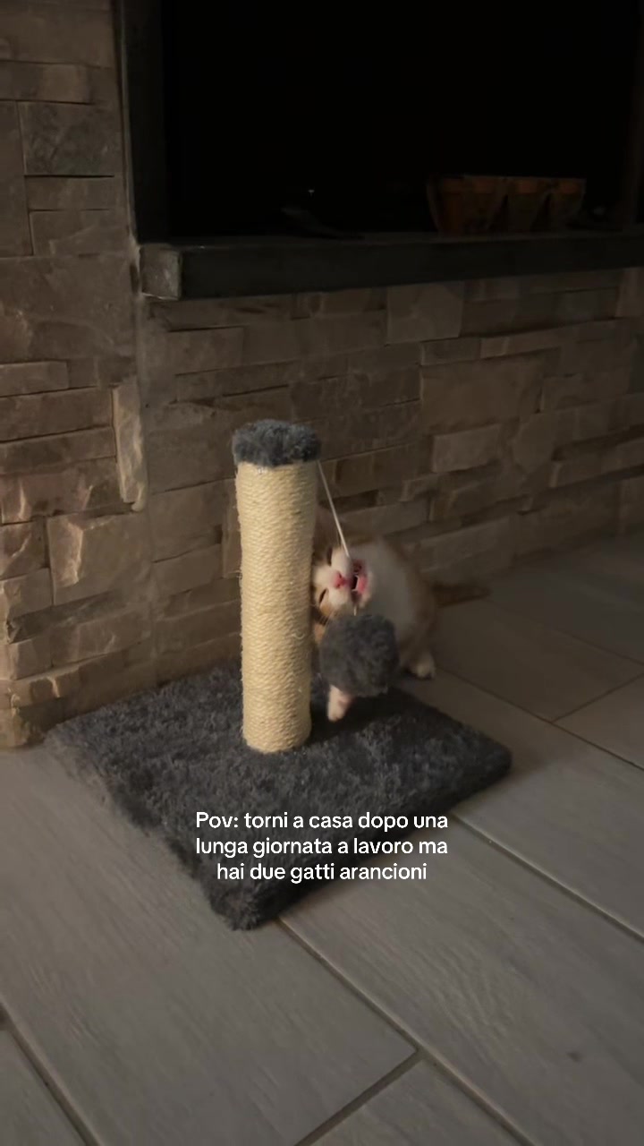 @𝒜𝓁𝑒𝓈𝓈𝒾𝒶