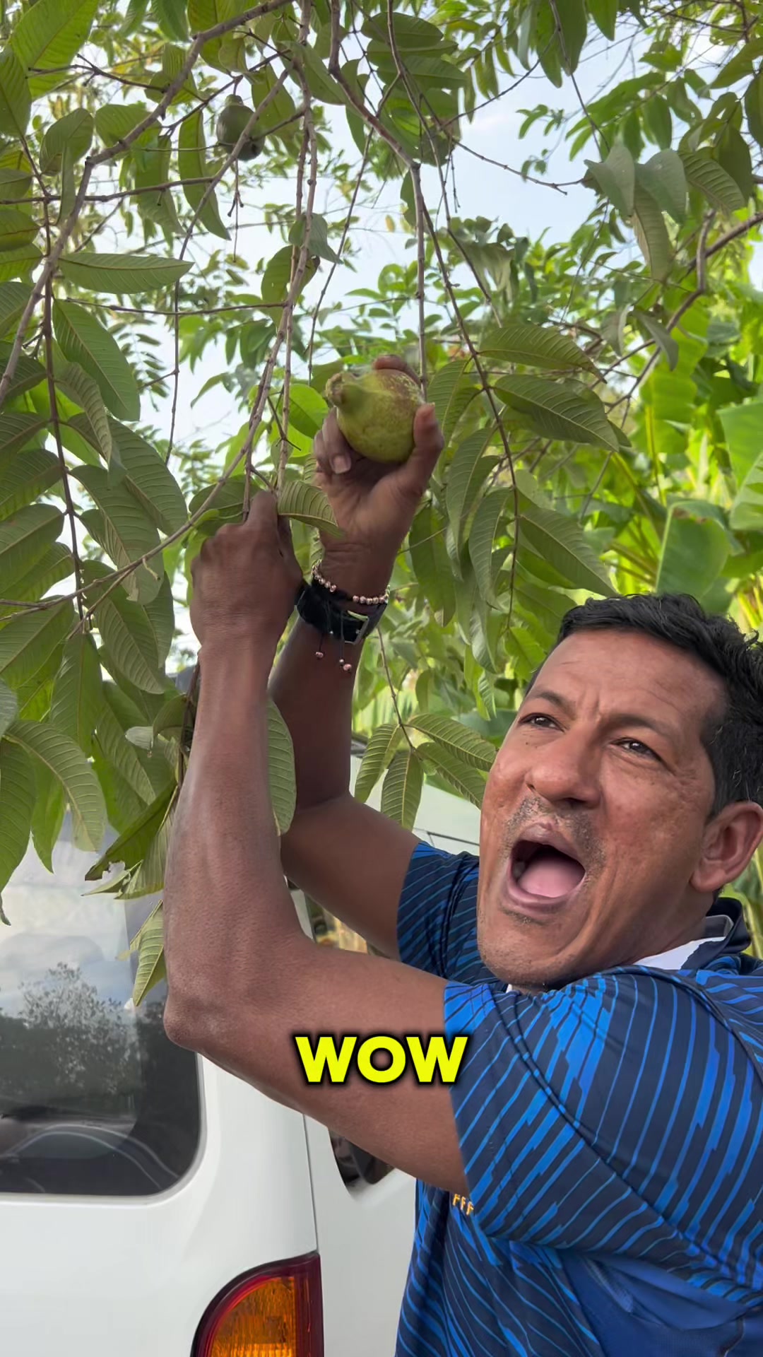 @El Ñato Oscar