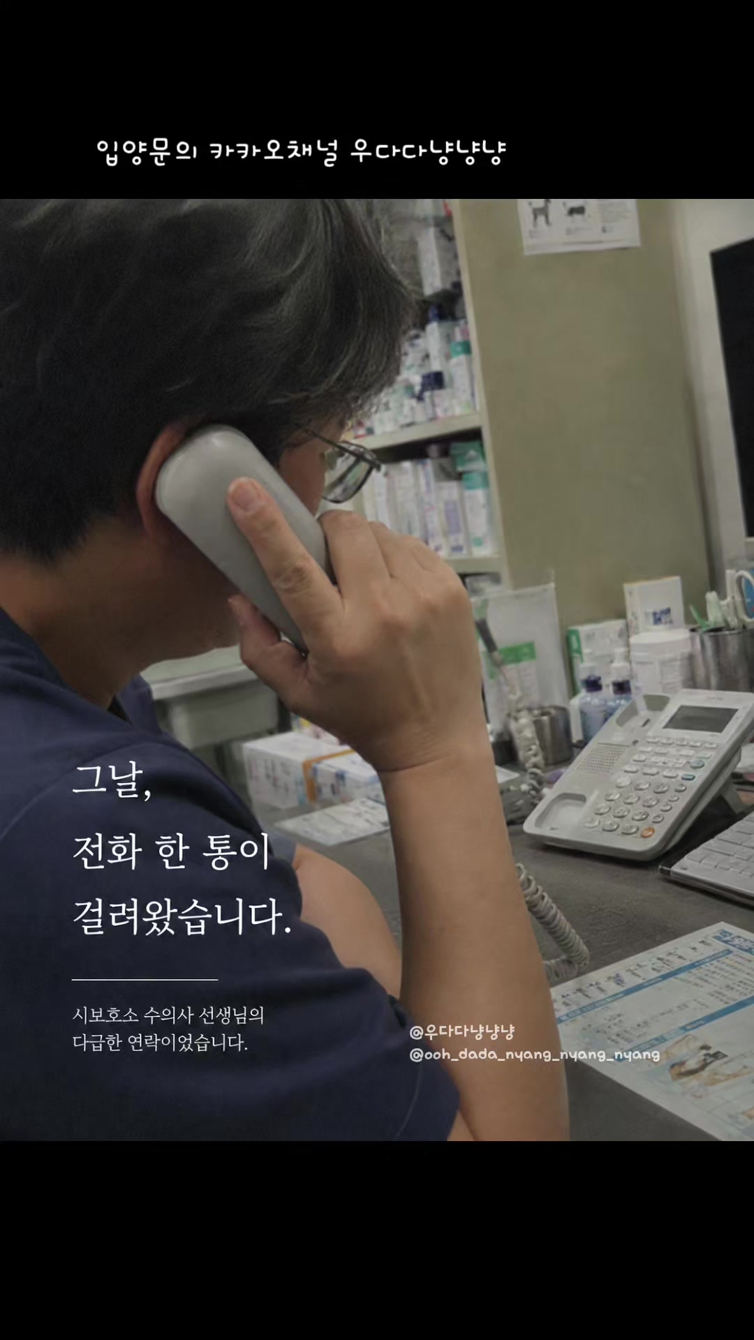 @우다다냥냥냥