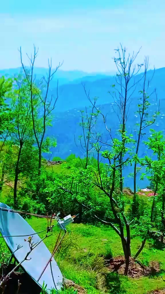@SabaAbbasi