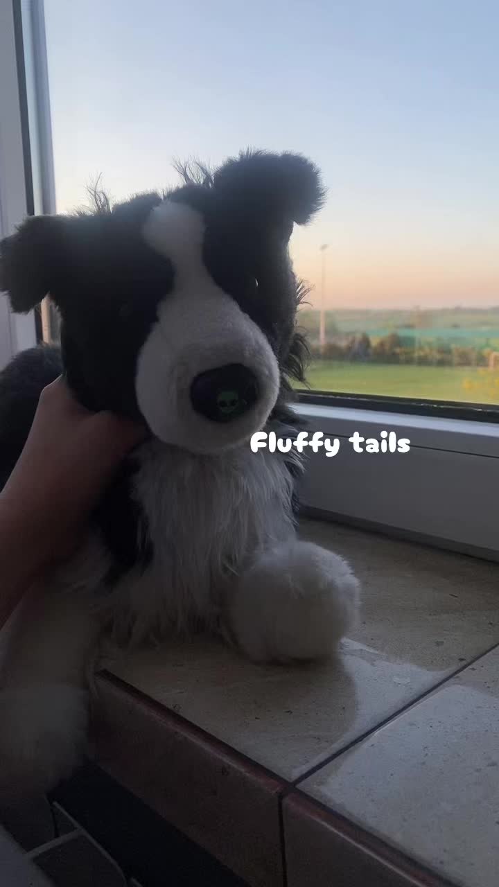 @⋆˚꩜。🌅Fluffy🍊tails🥥⋆.𐙚 ̊