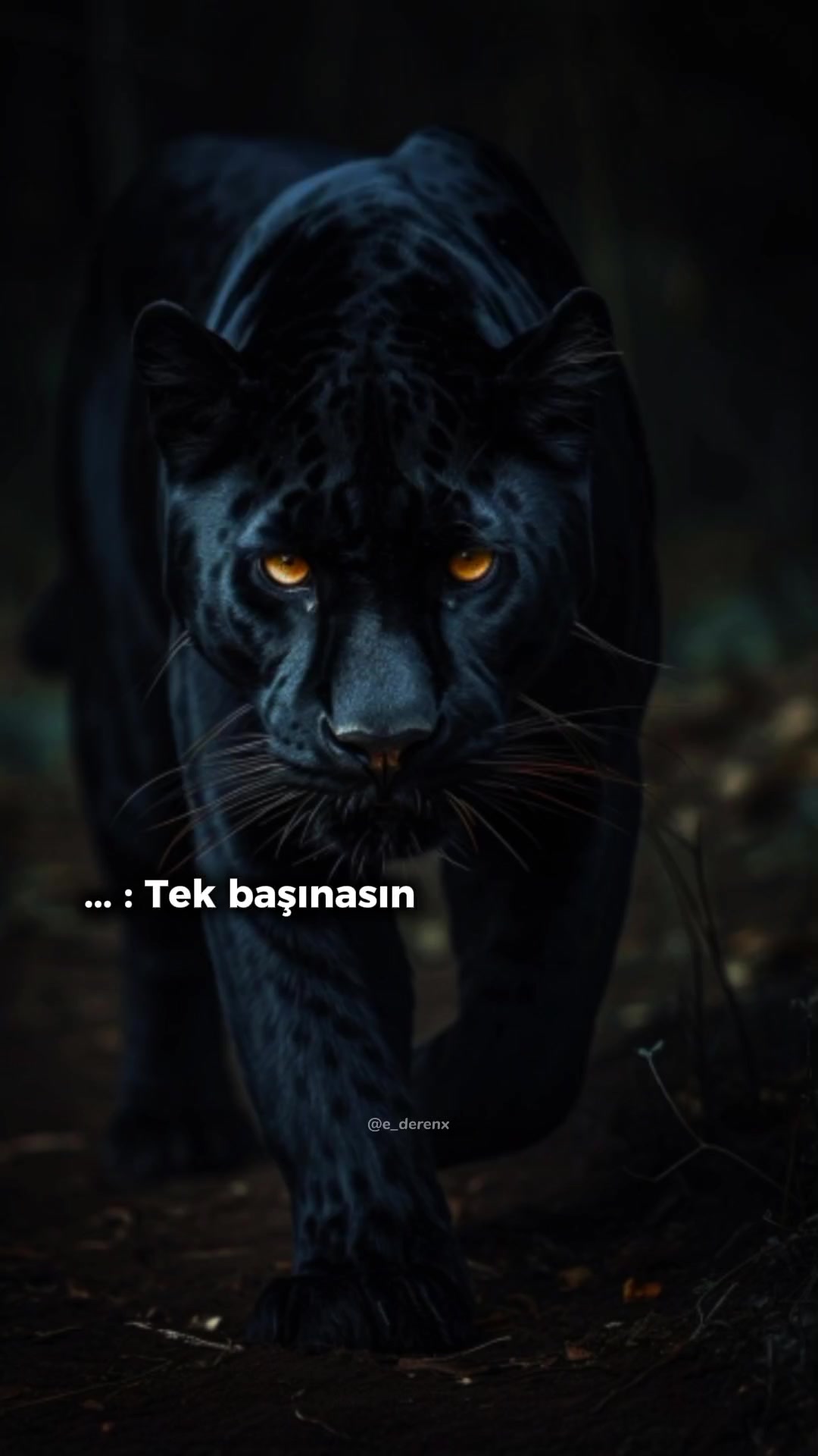 @❤️Fatma cindalı❤️🍯