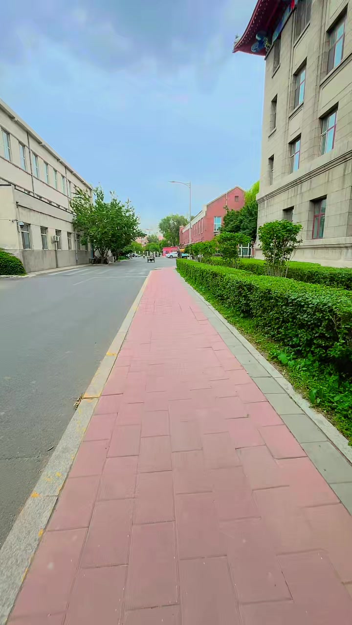 @阿里夫