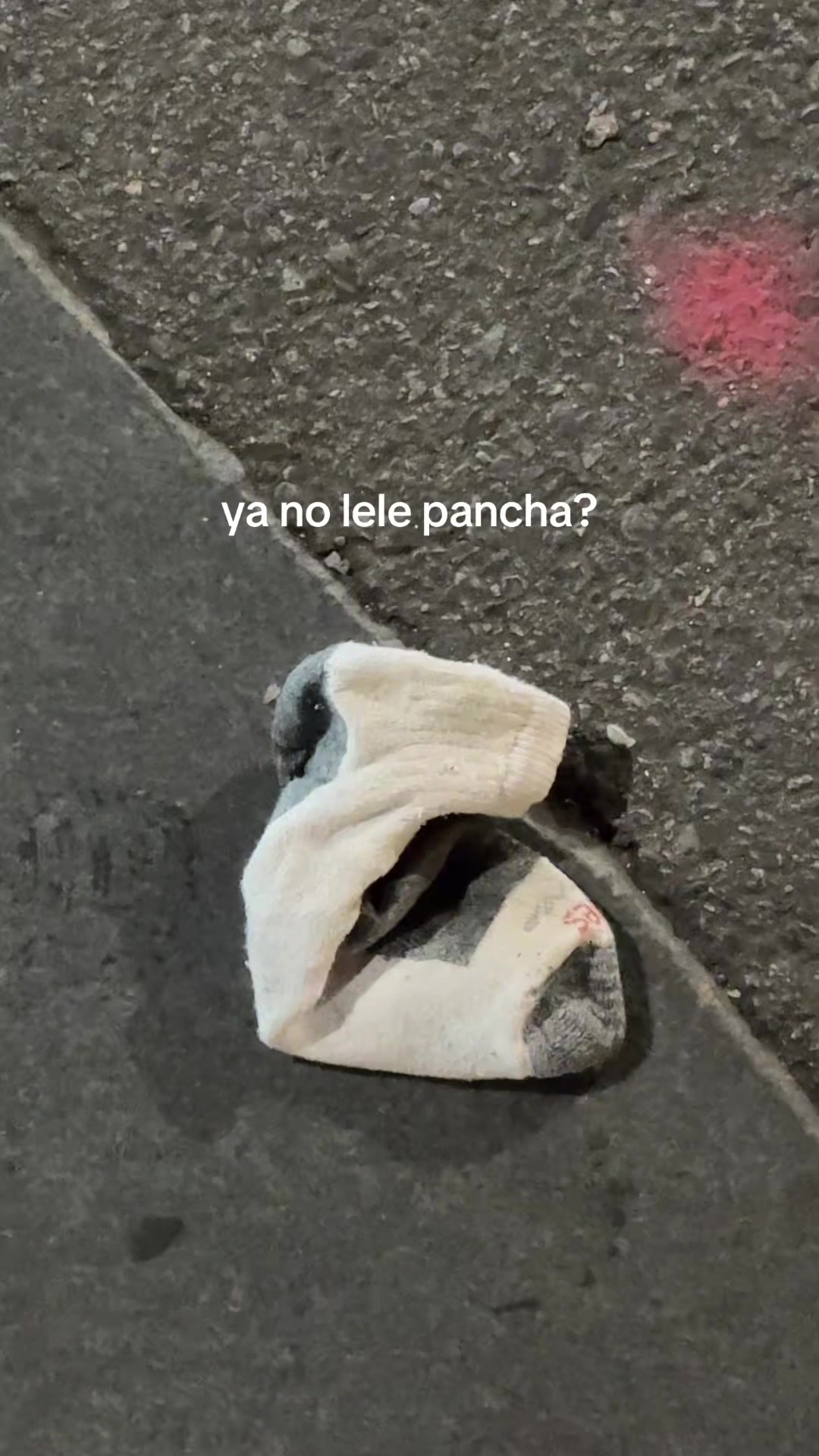@tu tía