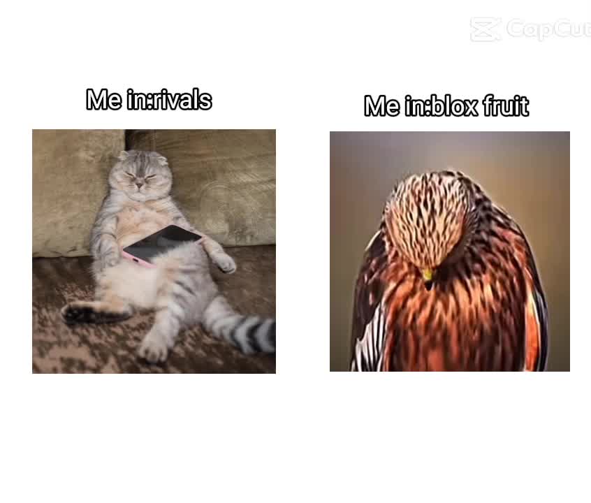 @MIKEBORJAJR