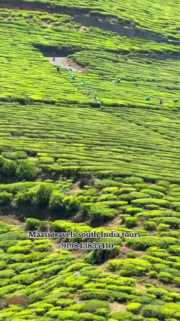 @Maasi south India tours