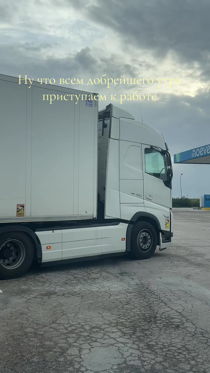 @🐺 волк 🐺