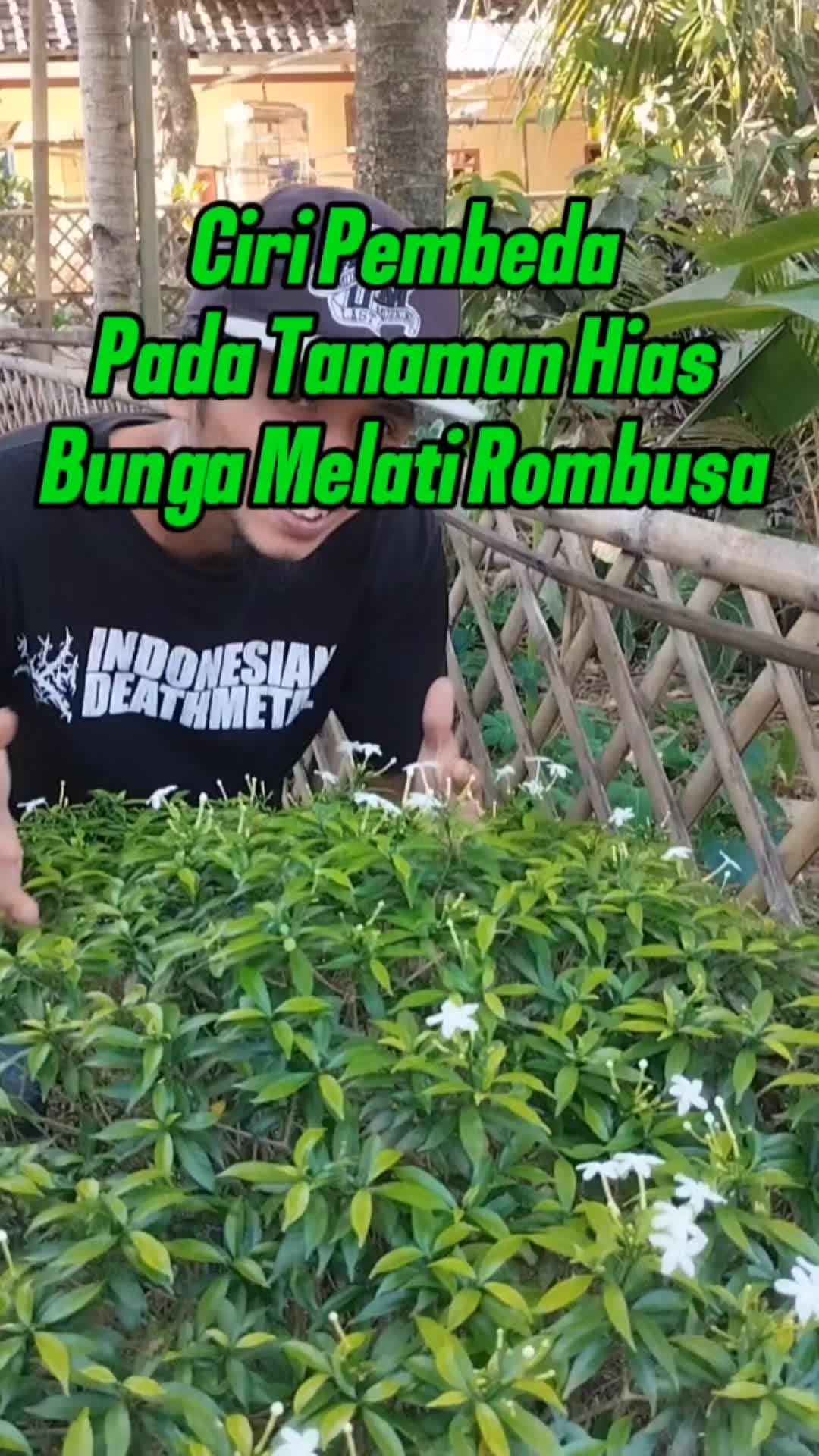@Bukit Farming