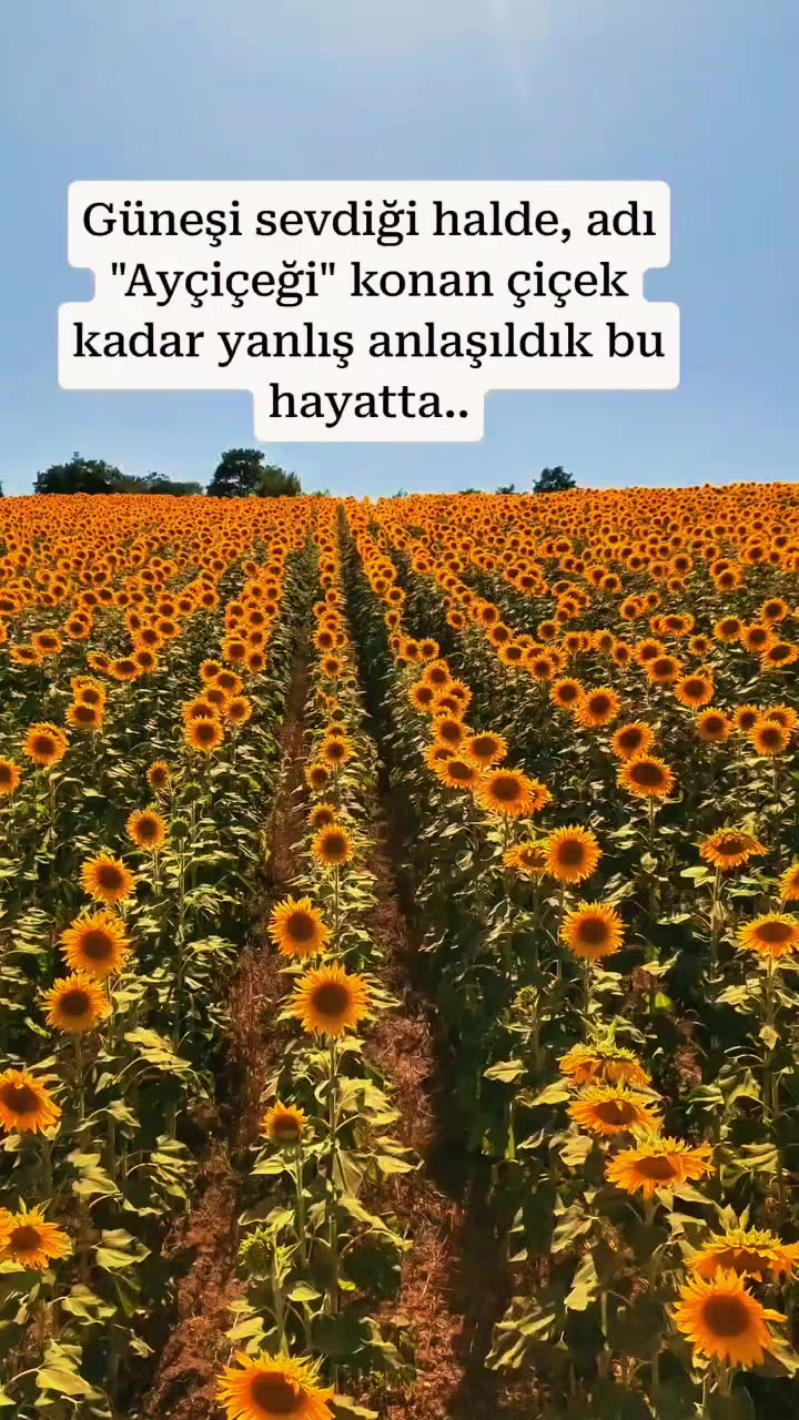 @👉👑𝐊𝐑𝐀𝐋👑👈