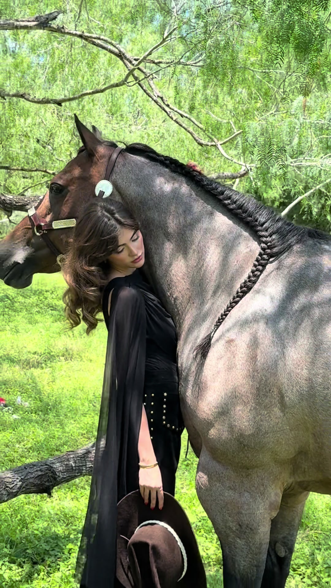 @angelplascencia