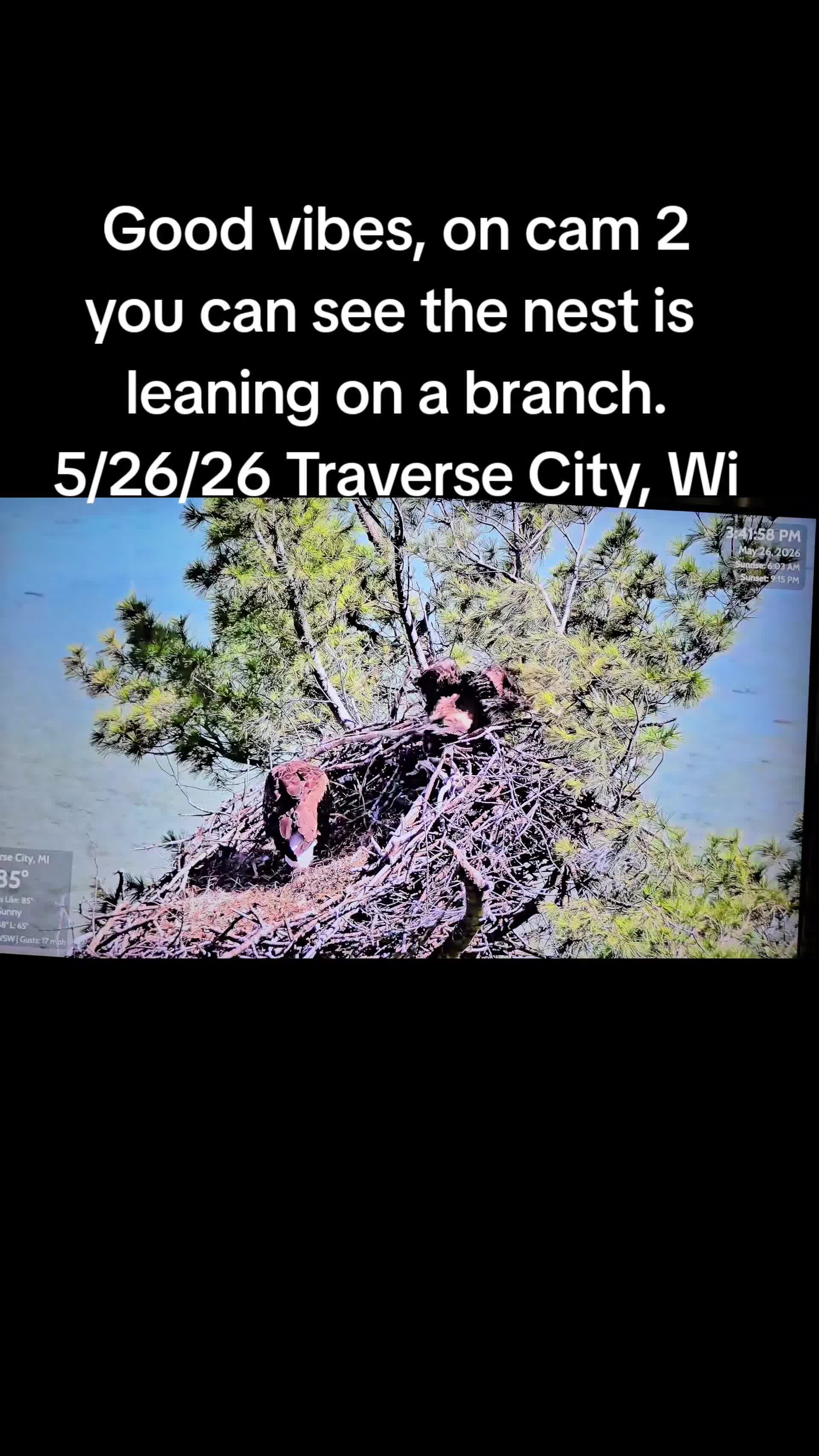@llovelylenore🦅🦅🦅🦅