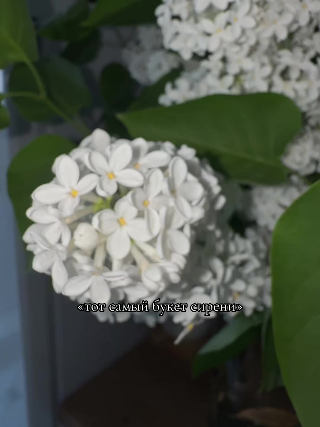 @Виктория🤍