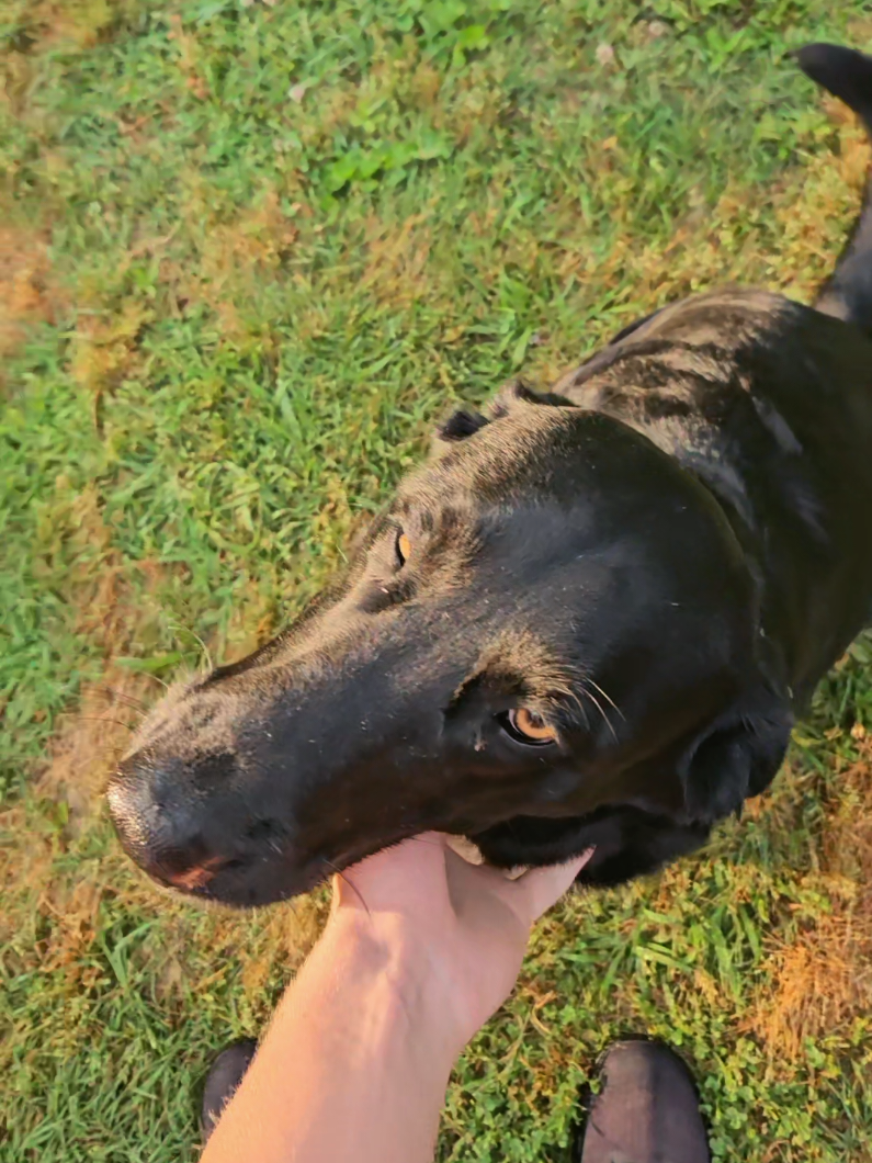 @Sam Lifty