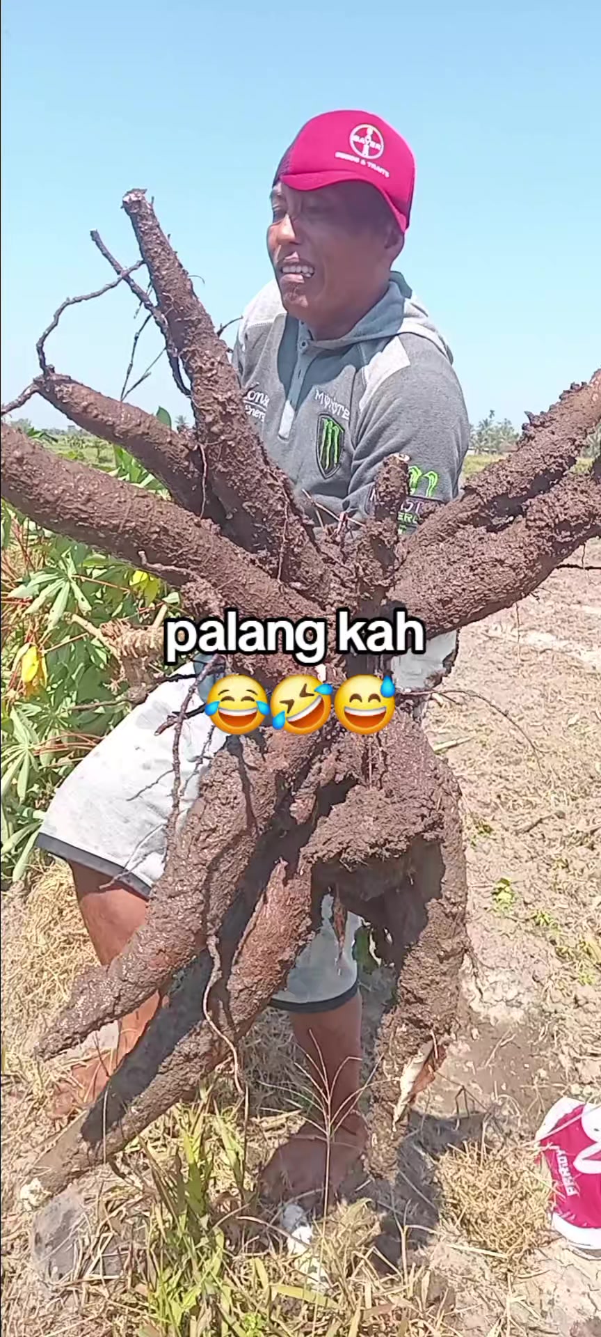 @KAMPONG TOSO