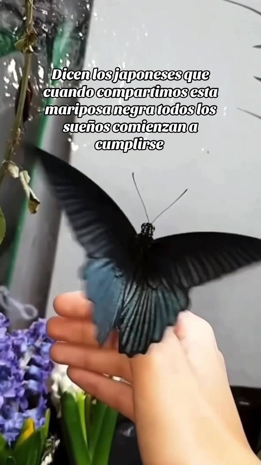 @migne_00