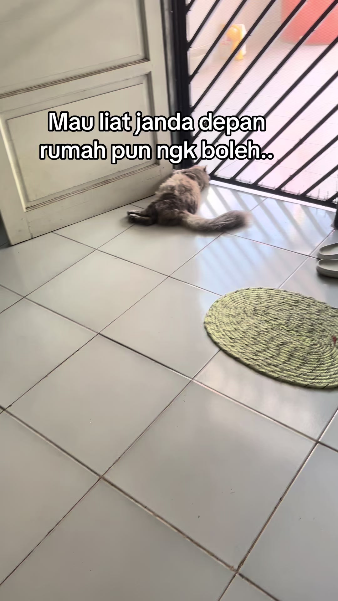 @devihannan