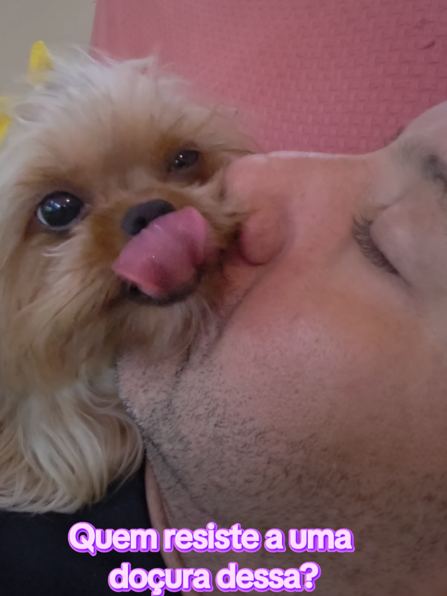 @Trio Pet Love