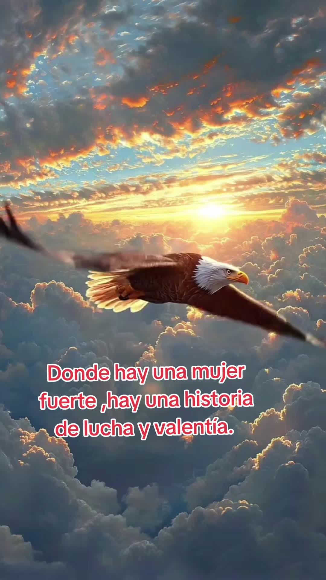 @alina