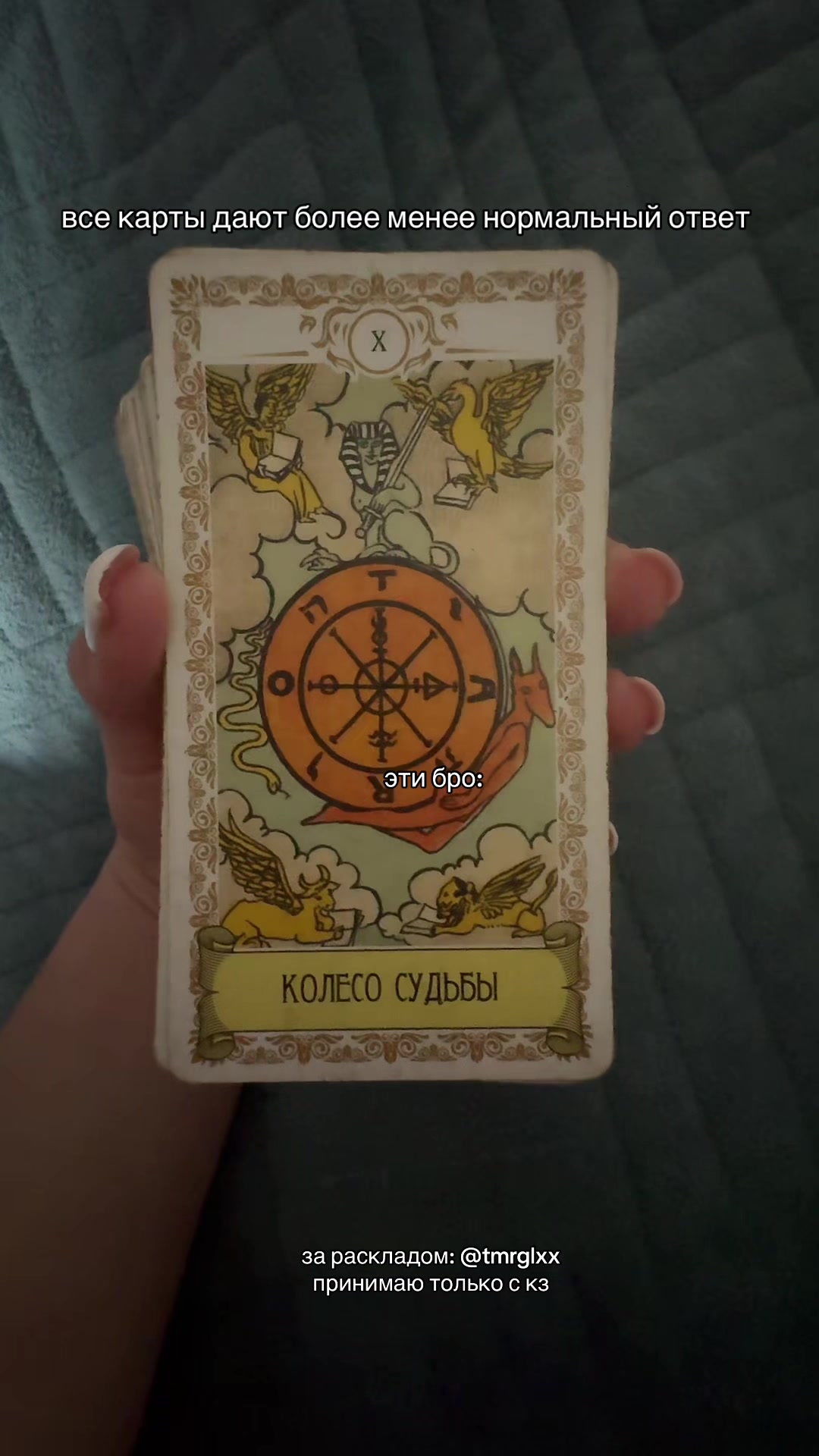 @taro_kz