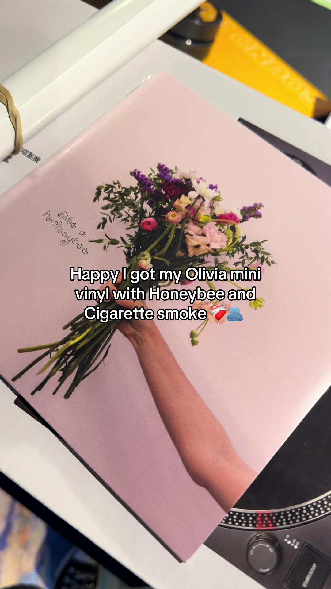 @Aleꕤ