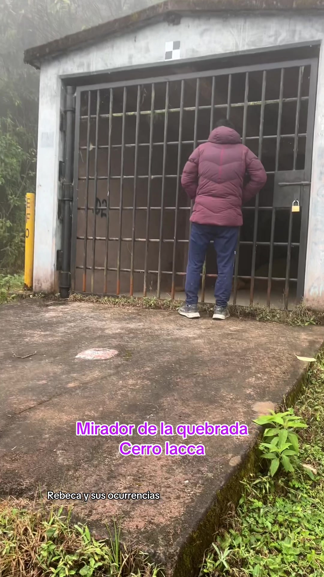 @🐈Rebeca y sus ocurrencias