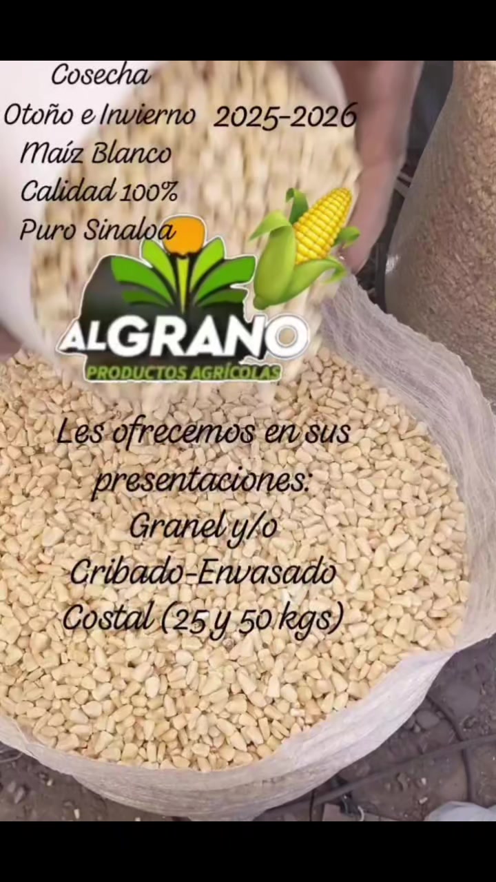 @Mario Diaz