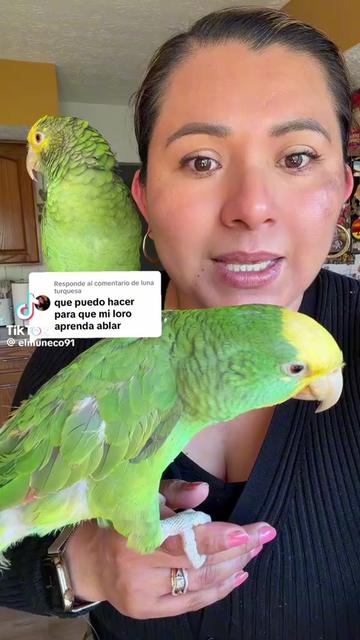 @México 🇲🇽