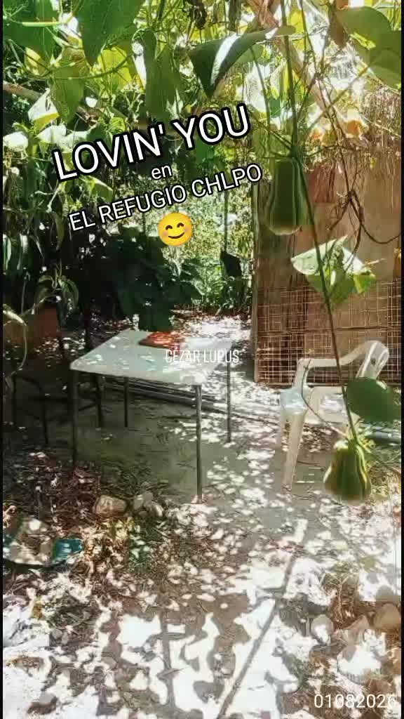 @Cézar Lupus