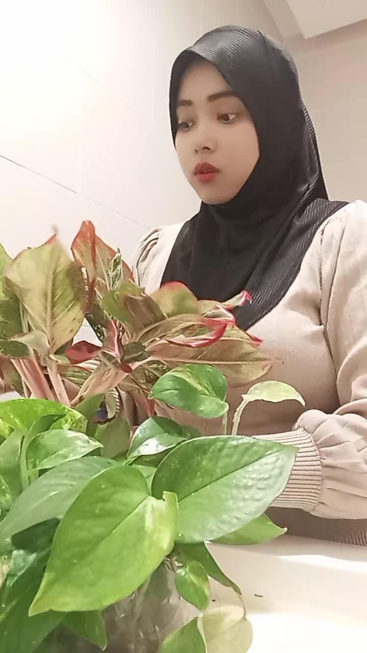 @zie_nackal chuby💃