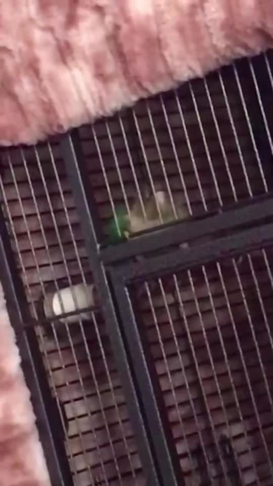@_cammy.mp4_