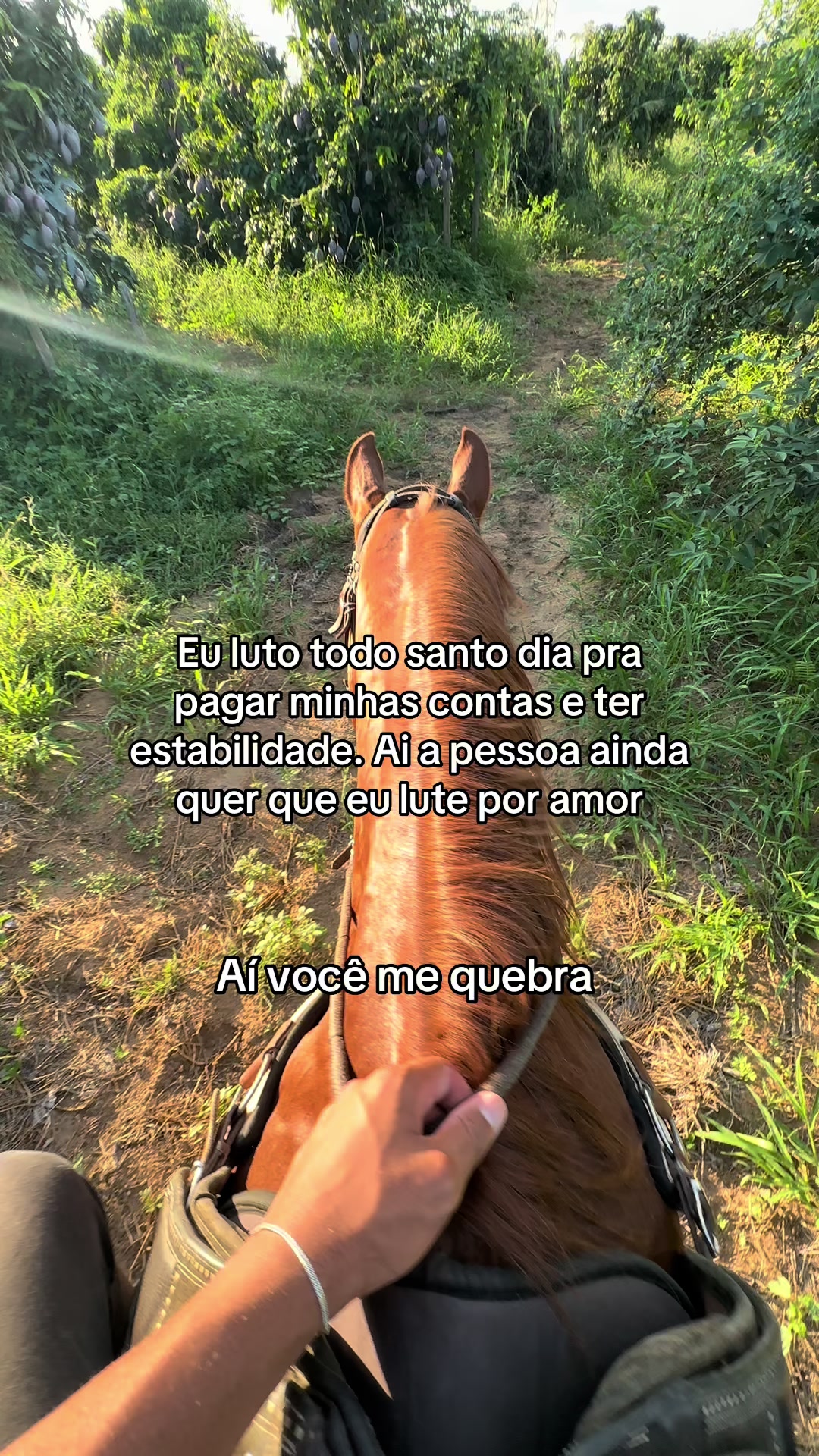 @M&aacute;rio Gomes