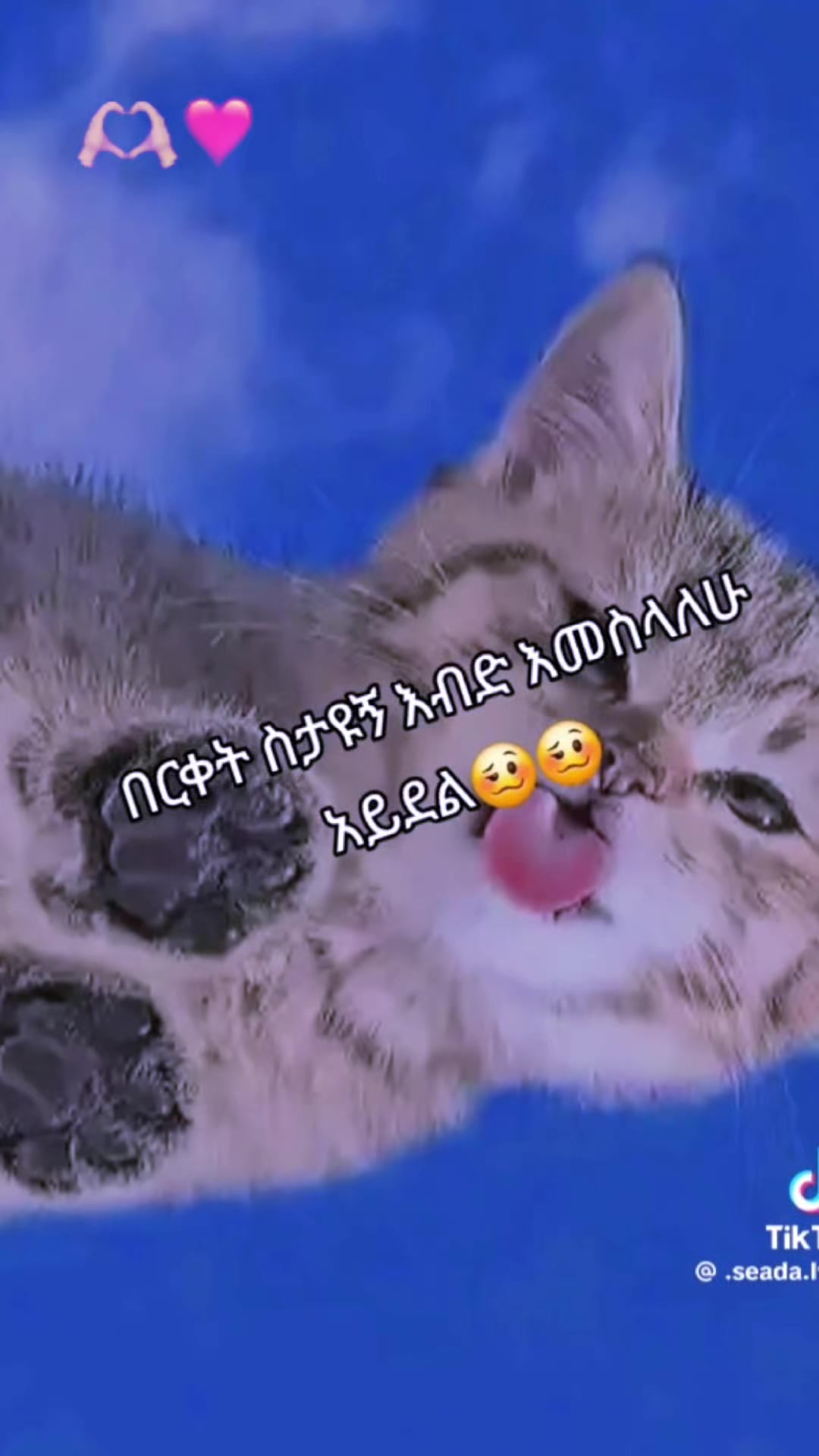 @Tinaa Fikr❤️🩹🦋