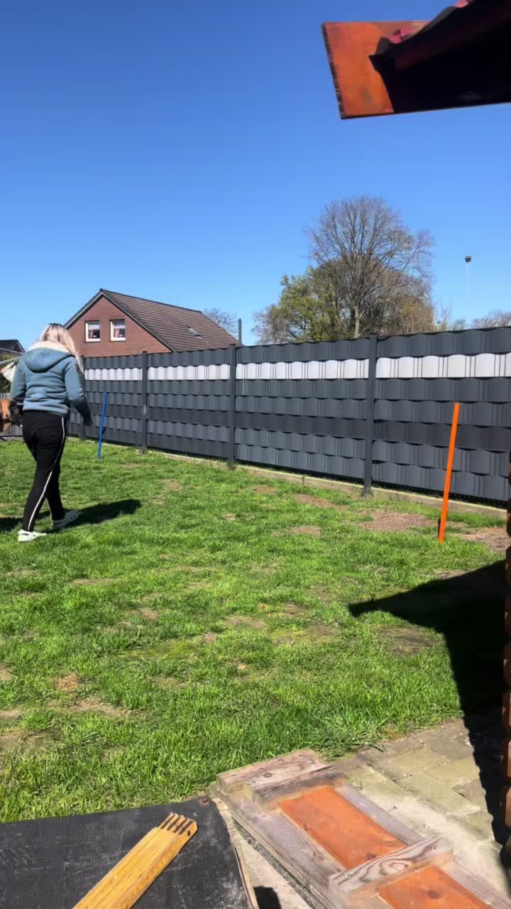@Dream.Border.Collie.Andra
