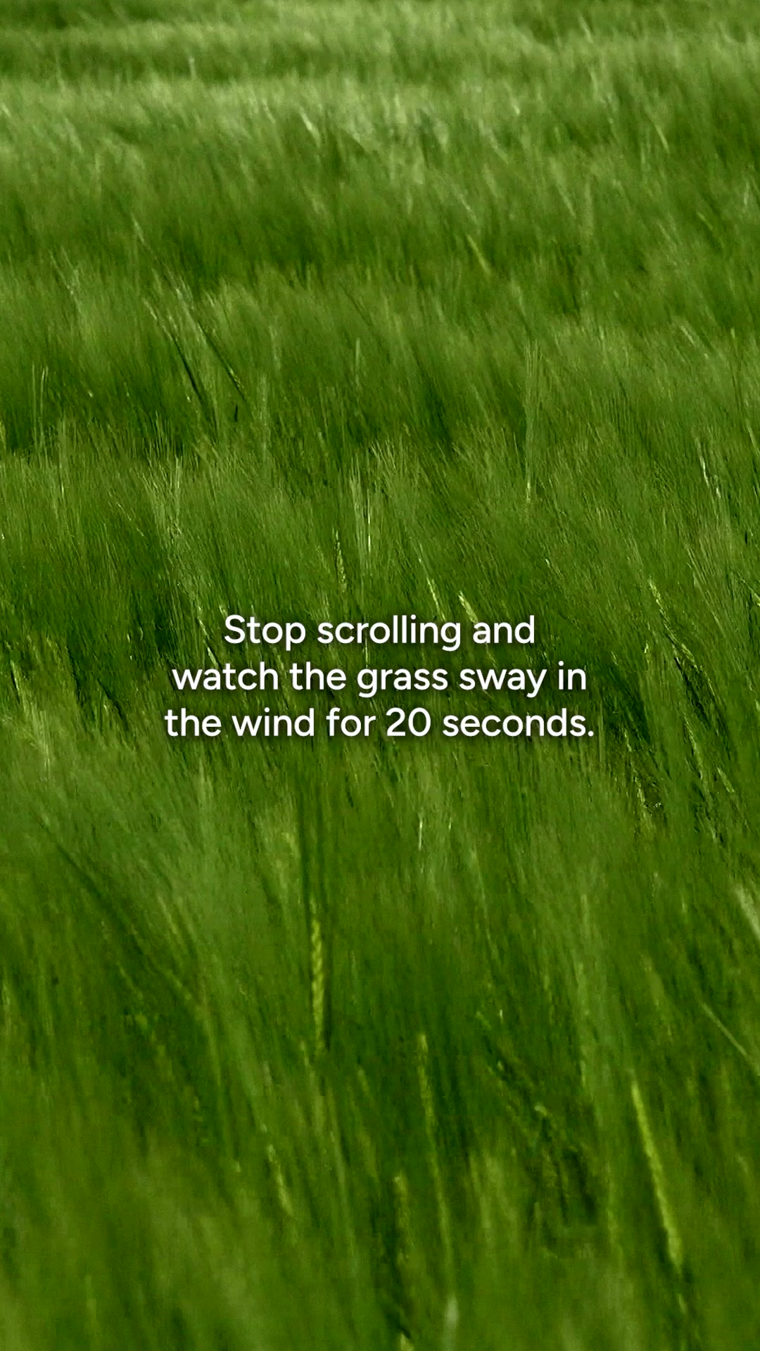 @Calm