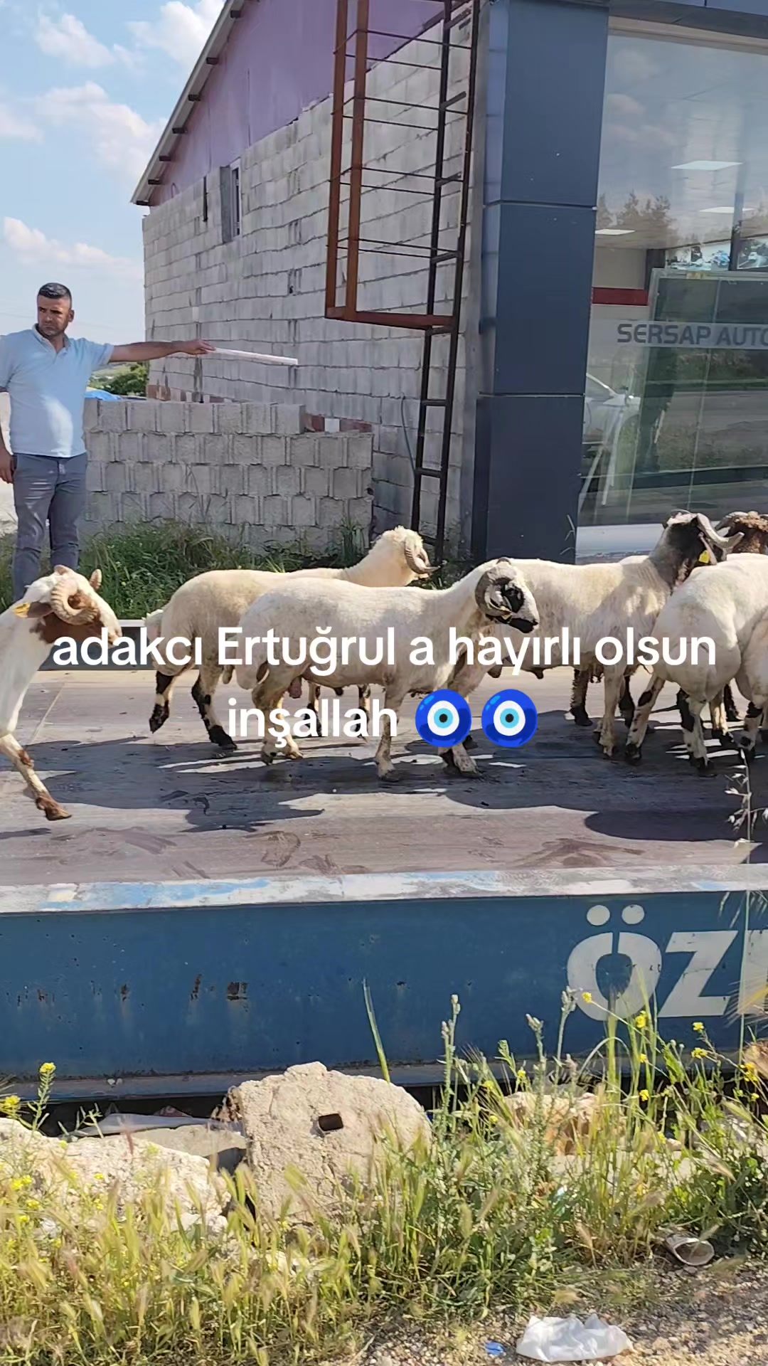 @nedim can ataş