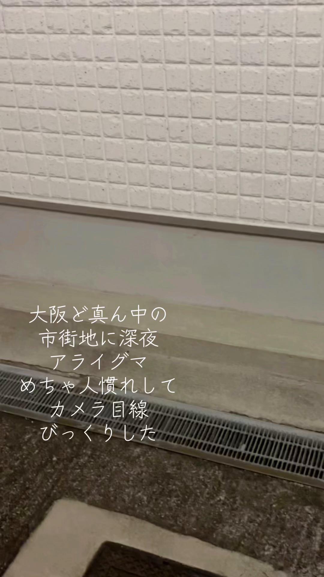 @大阪ローズ🌹ママ