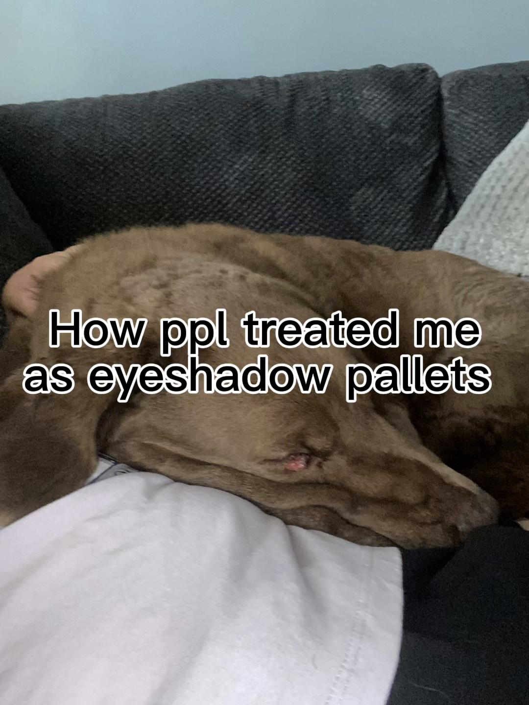 @Not sophia