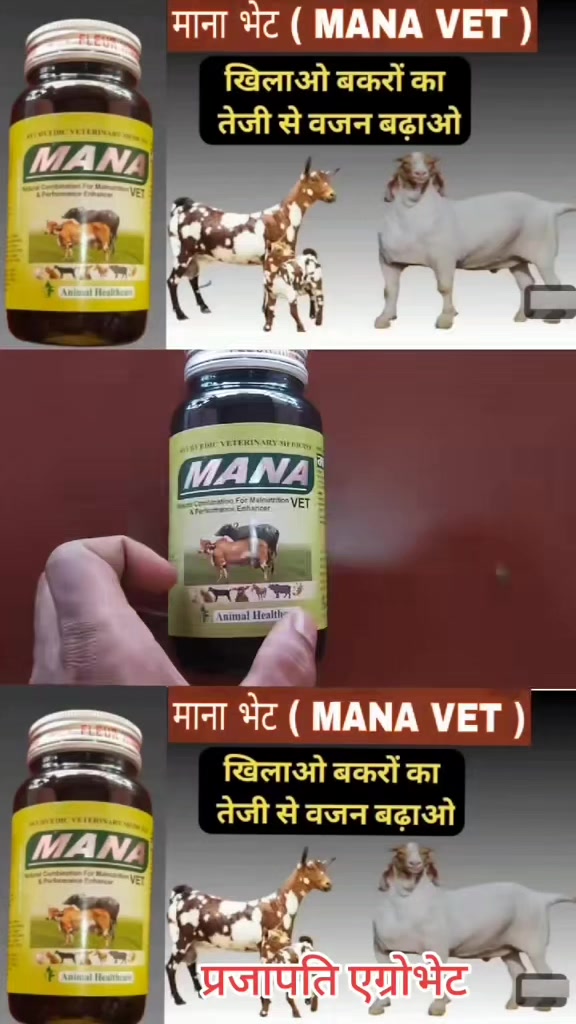 @Prajapati Agro Vet