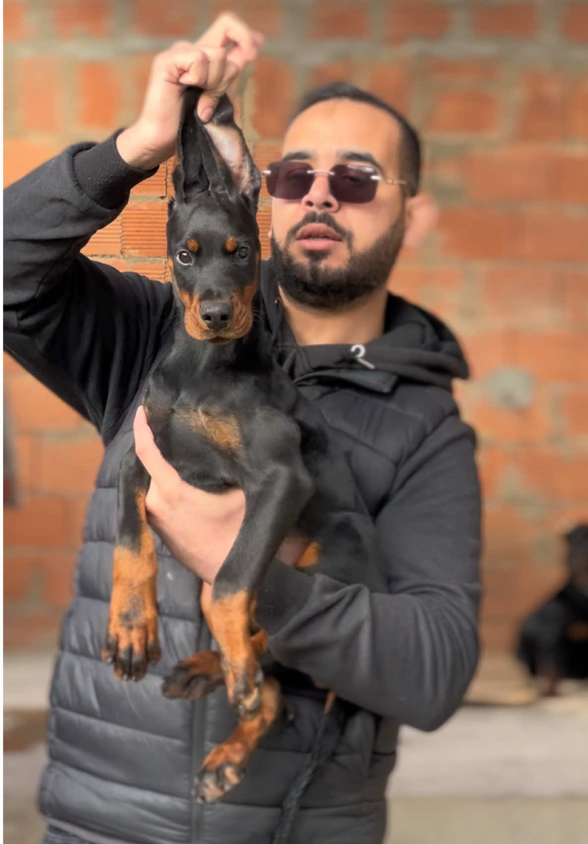 @husky Athena🇩🇿🇹🇳🇲🇦