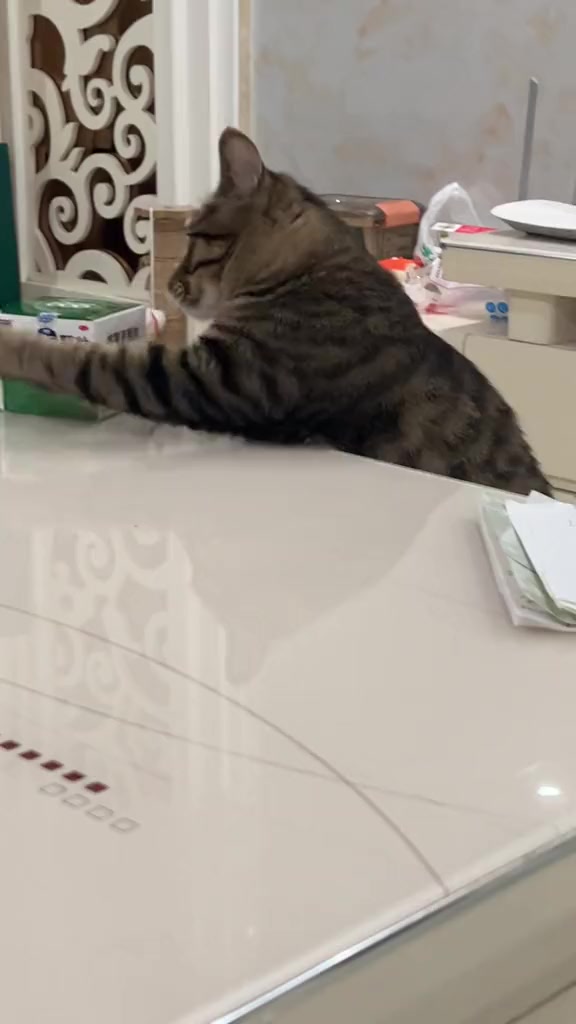 @Thanh Châm