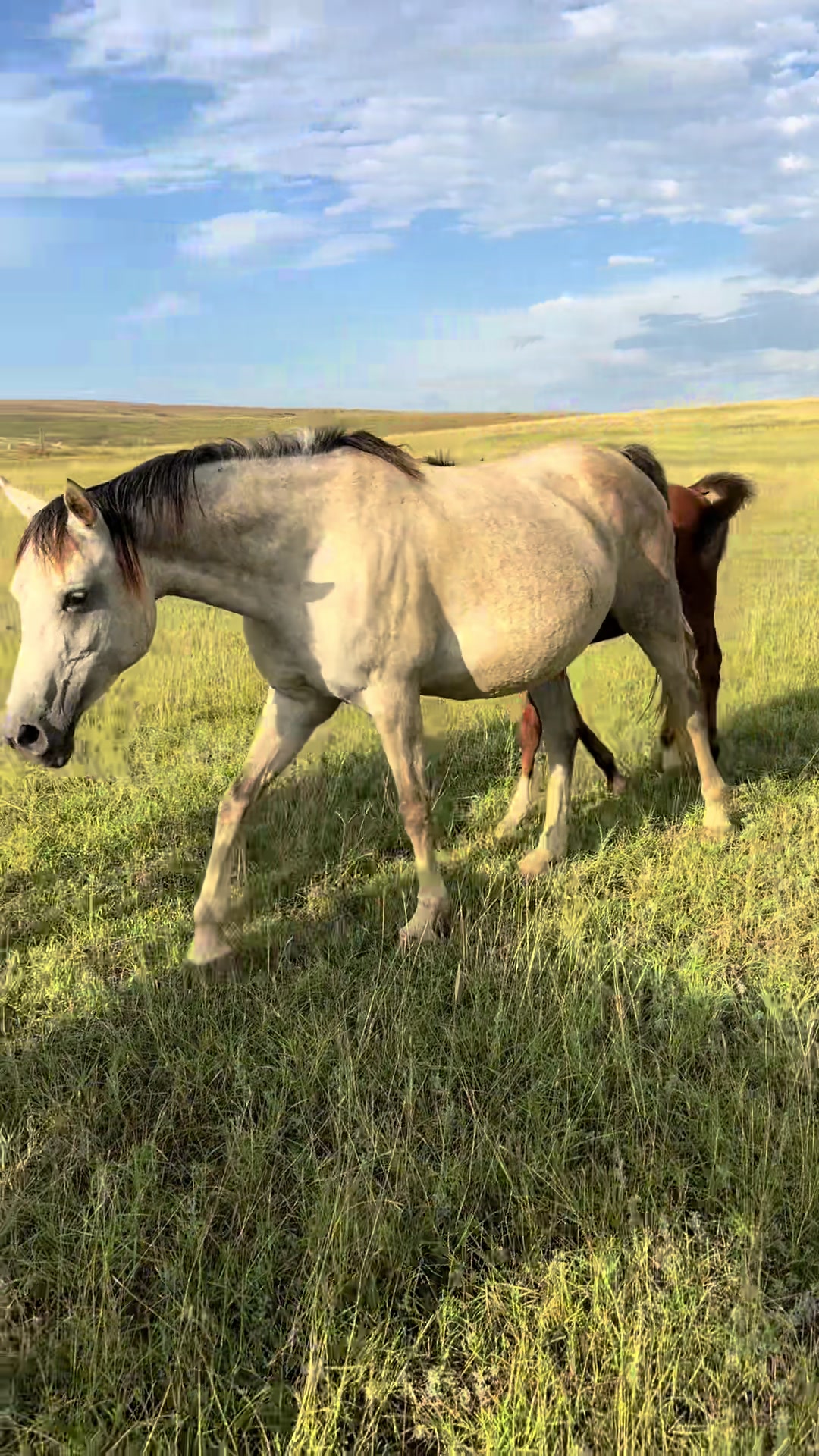 @MakvinStud