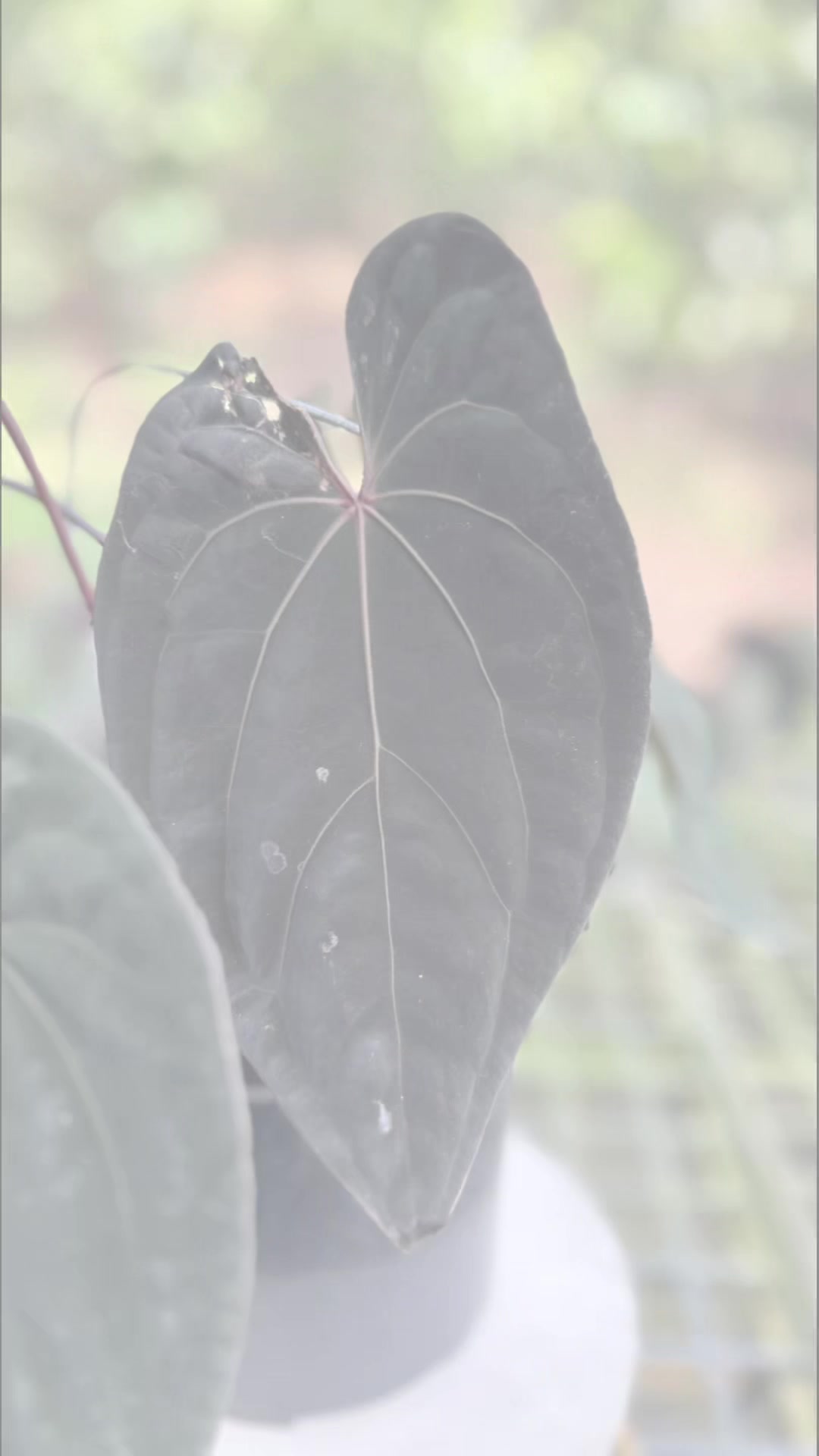@KeepcầmKây🥦
