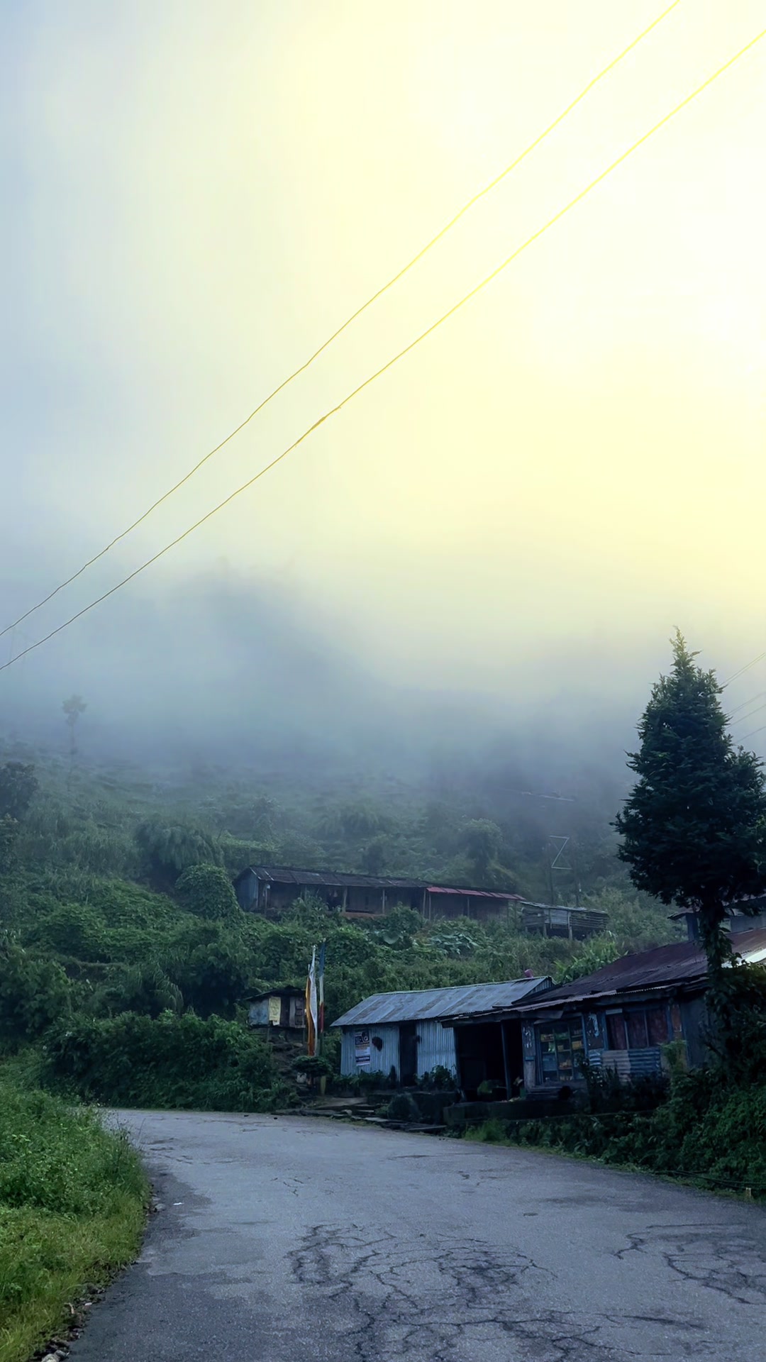 @Nittin Jabegu Limbu