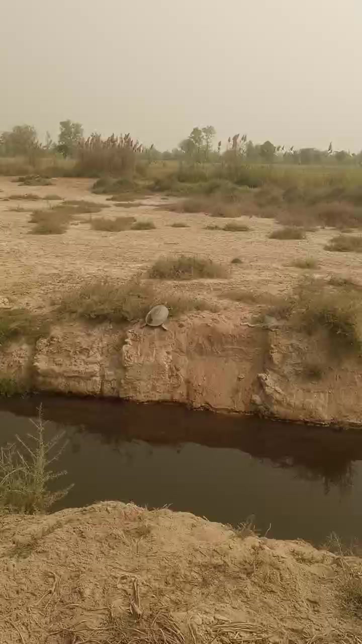 @Qamar Zaman Cheena