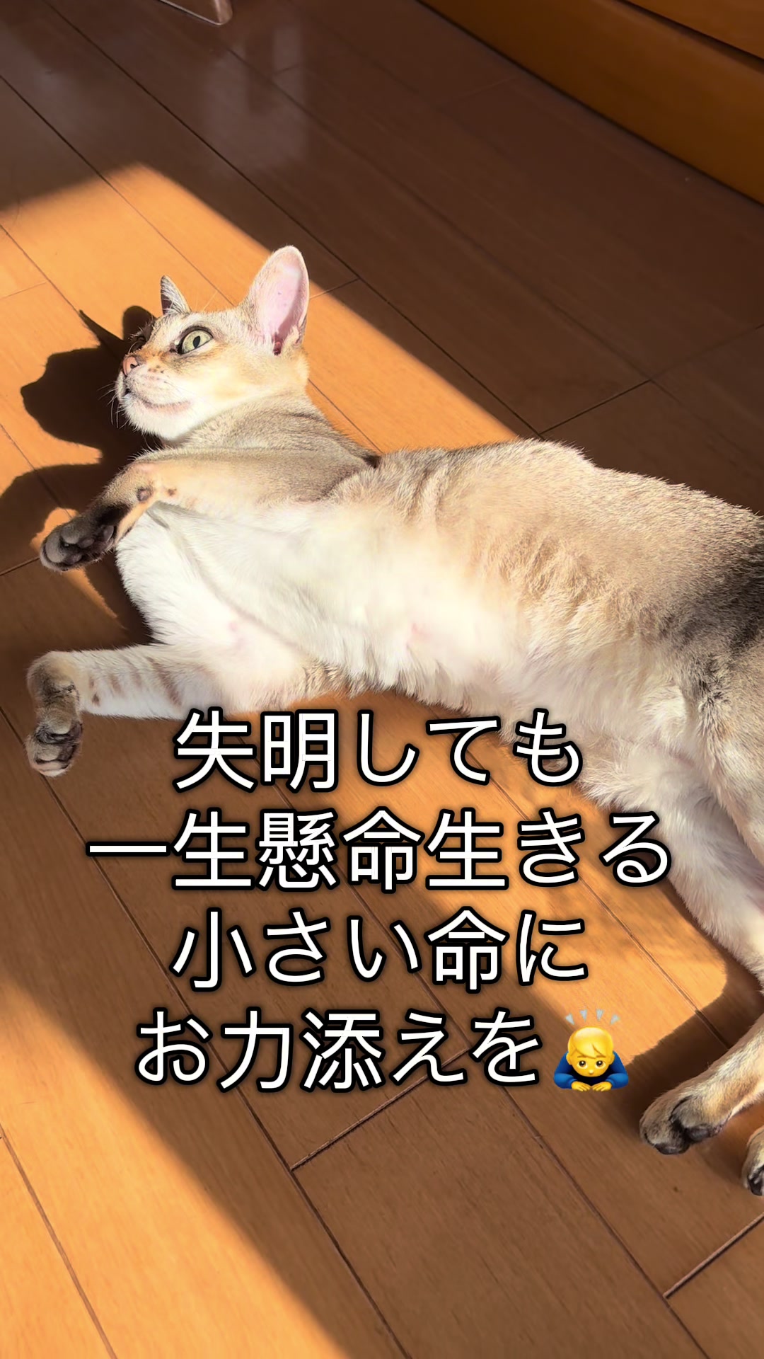 @Singapura_ran