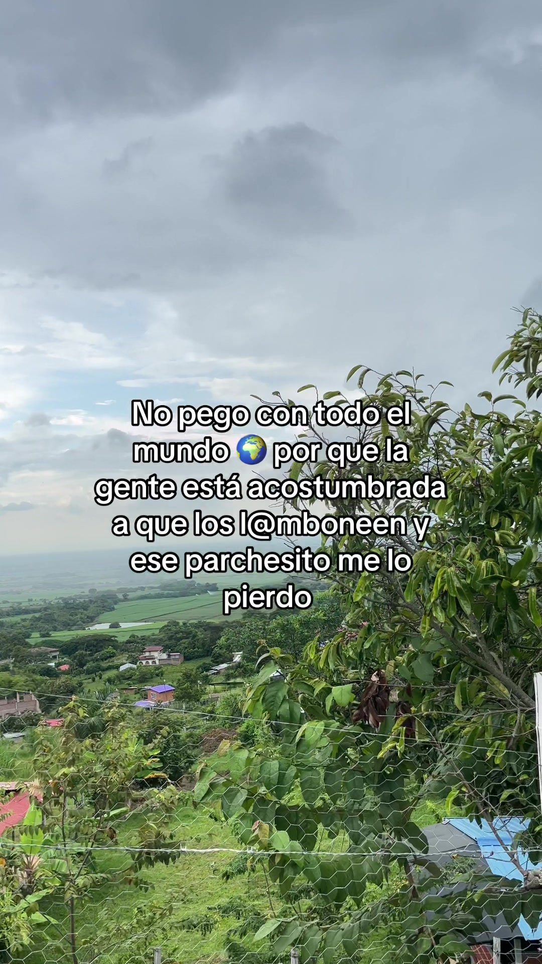 @Valentina gr 😌🙇♀️