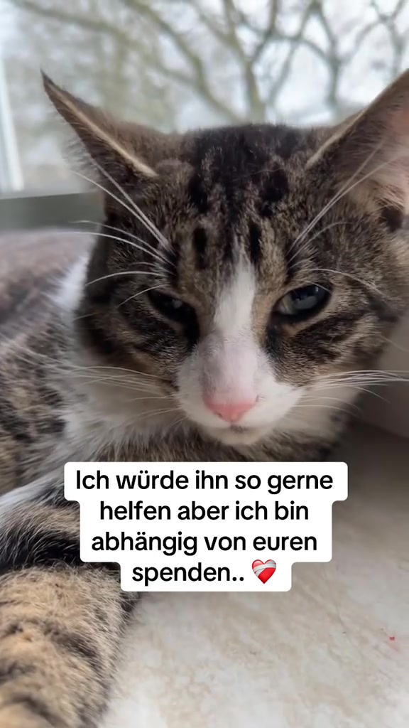 @helpsimba
