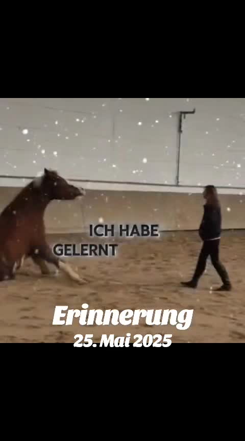 @Petra